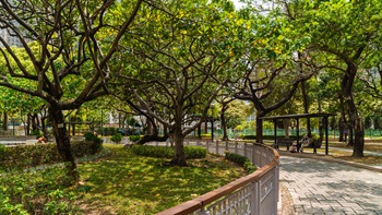 Trees are planted in the planting beds along the sides of the footpaths to provide appropriate shade.